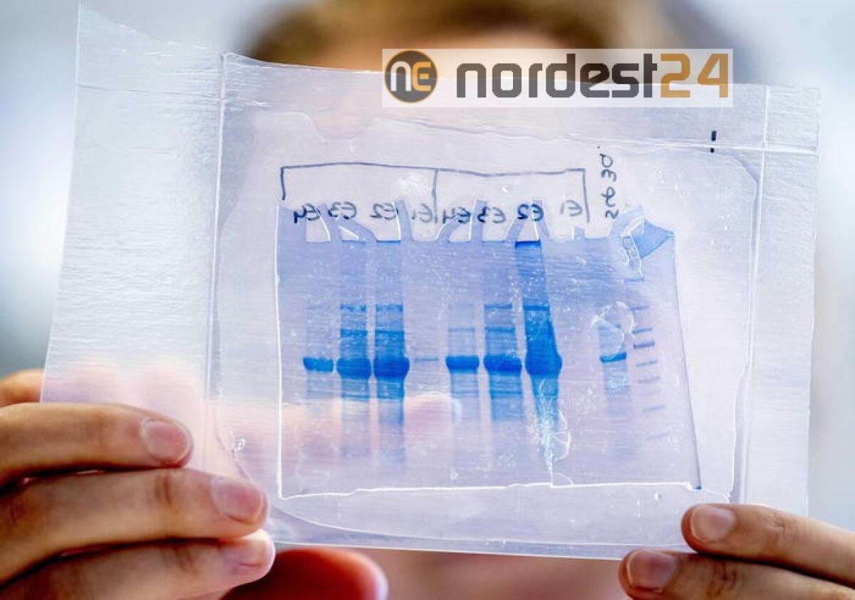 Da Ue 300 mln Gavi per vaccinare bambini - 