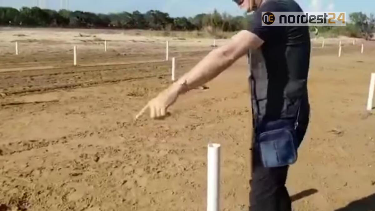 Bibione, ecco l'app per prenotare la spiaggia libera - 