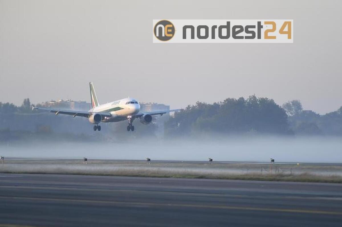 Alitalia: De Micheli,newco avrà piano in discontinuità - 