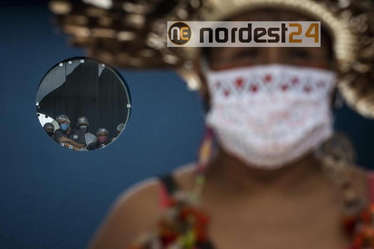 Covid: America Latina, 1.136.034 contagi - 