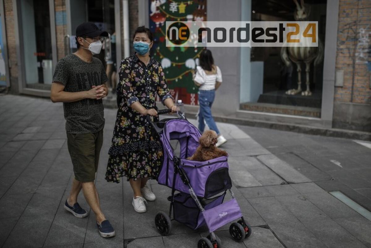 Istat: misure frenano calo potere acquisto (-1,7%) - 