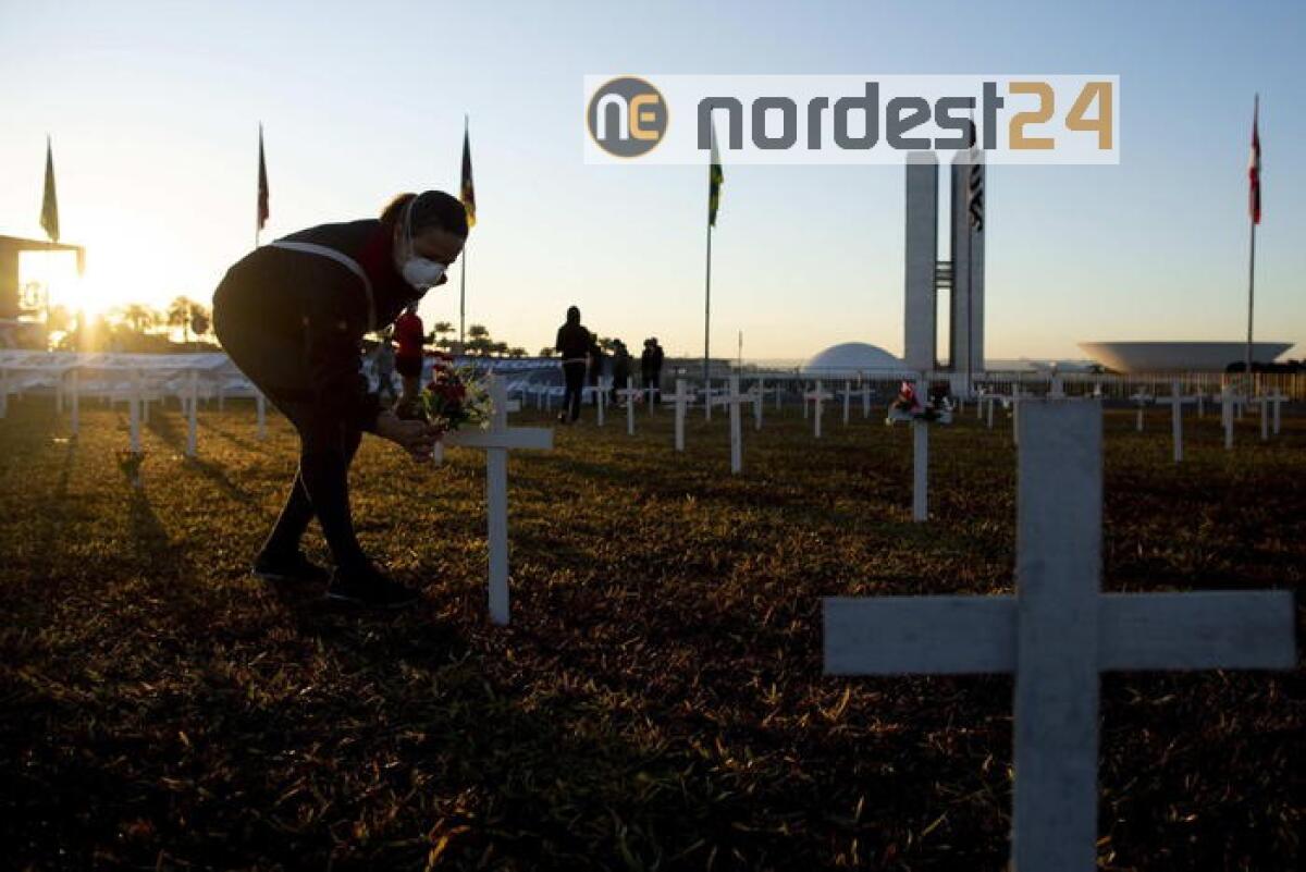 Virus, Brasile: aumento casi rallenta - 