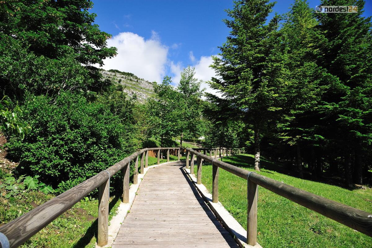 Udine. Educazione ambientale con le scuole, progetto europeo Pulchra - 