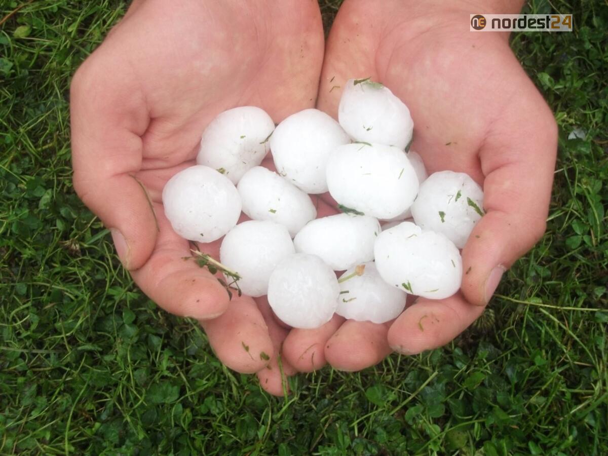Maltempo sul Veneto con grandine e temporali - FOTO / VIDEO - 