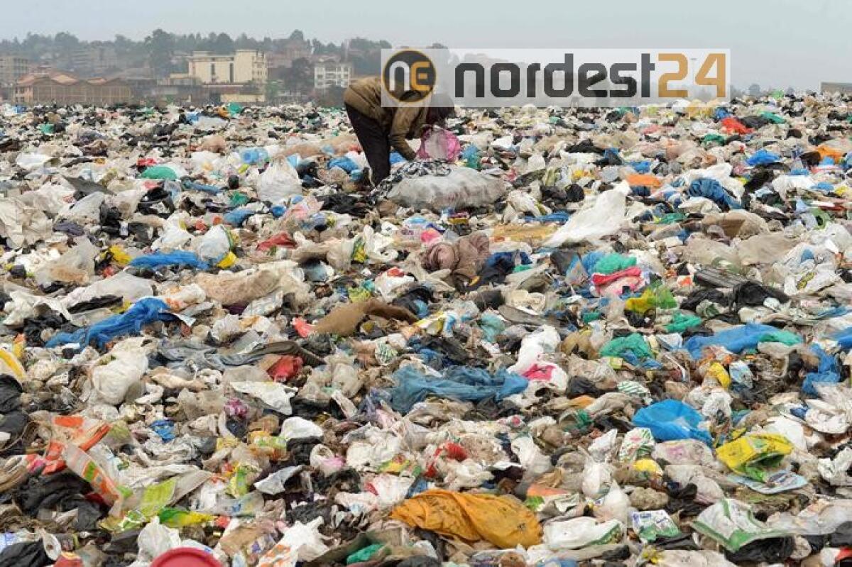 Papa: non si è sani se mondo è malato - 