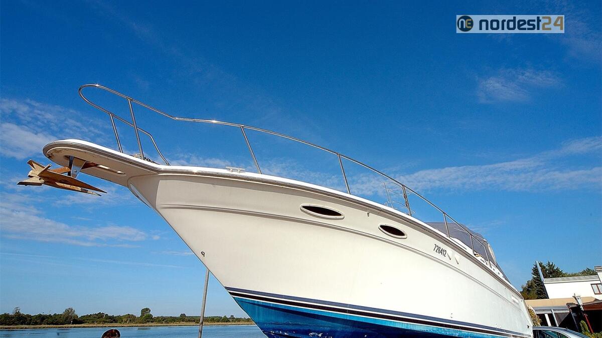 Fvg, nautica da diporto: imprese al lavoro per recuperare il tempo perso - 