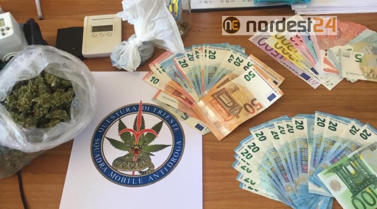 Trieste. Spaccio di droga: 2 arresti, sequestrata anche una piantagione di marijuana - 