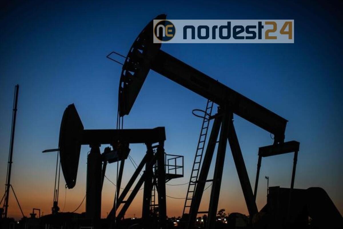 Petrolio: il Wti in lieve rialzo a 35,65 - 