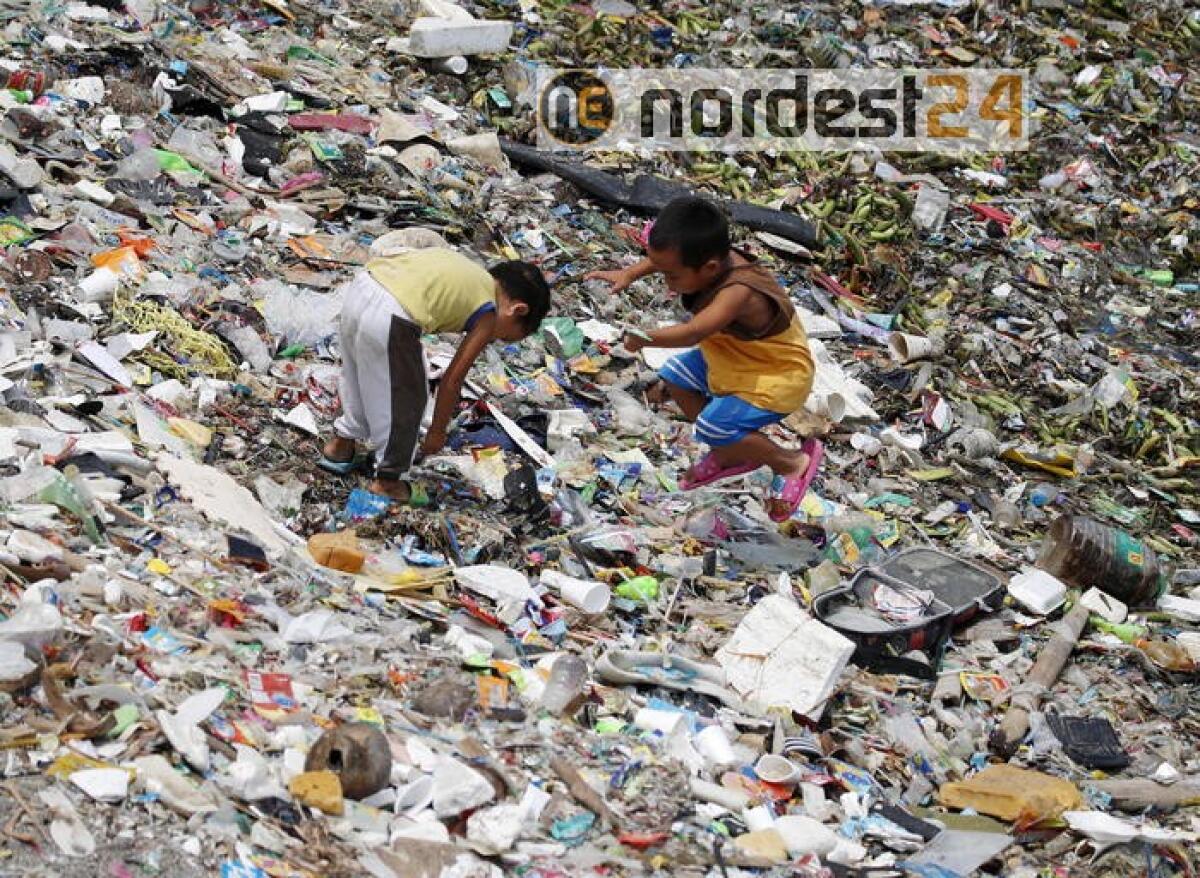 Papa, basta lavoro minorile, è schiavitù - 