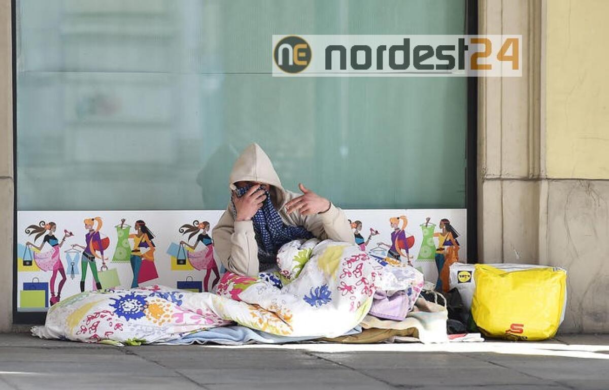 'Avvocato di strada', assistiti in 4mila - 