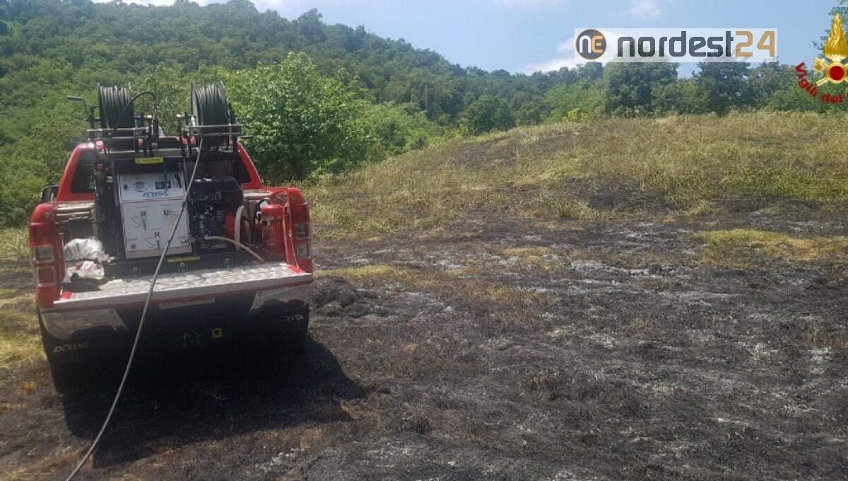 Incendio a Longare: brucia un ettaro di sterpaglia - 