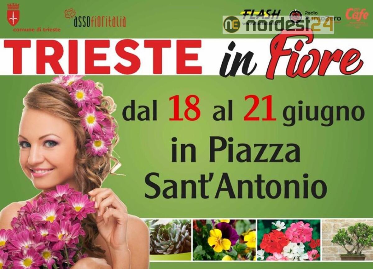 Torna Trieste in fiore: al via giovedì 18 giugno in piazza S. Antonio - 