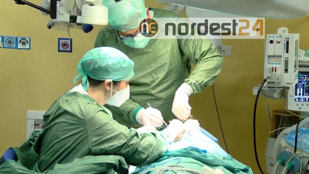 Recupera udito con ricostruzione in 3D - 