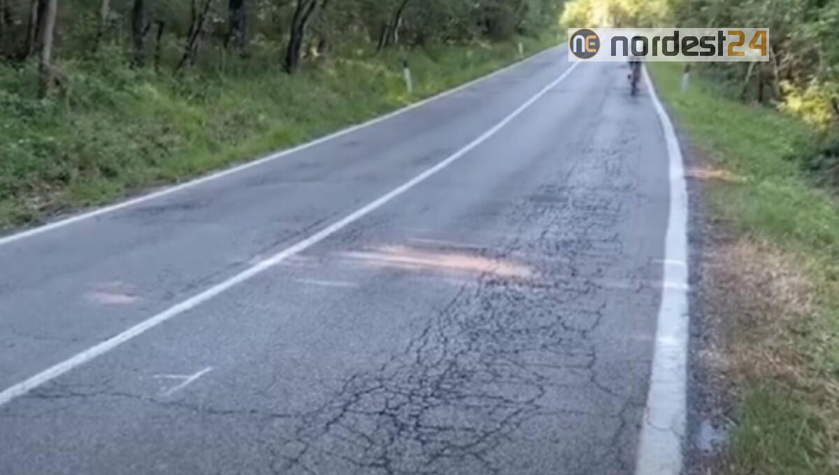 Incidente Alex Zanardi: indagine su manto stradale - 