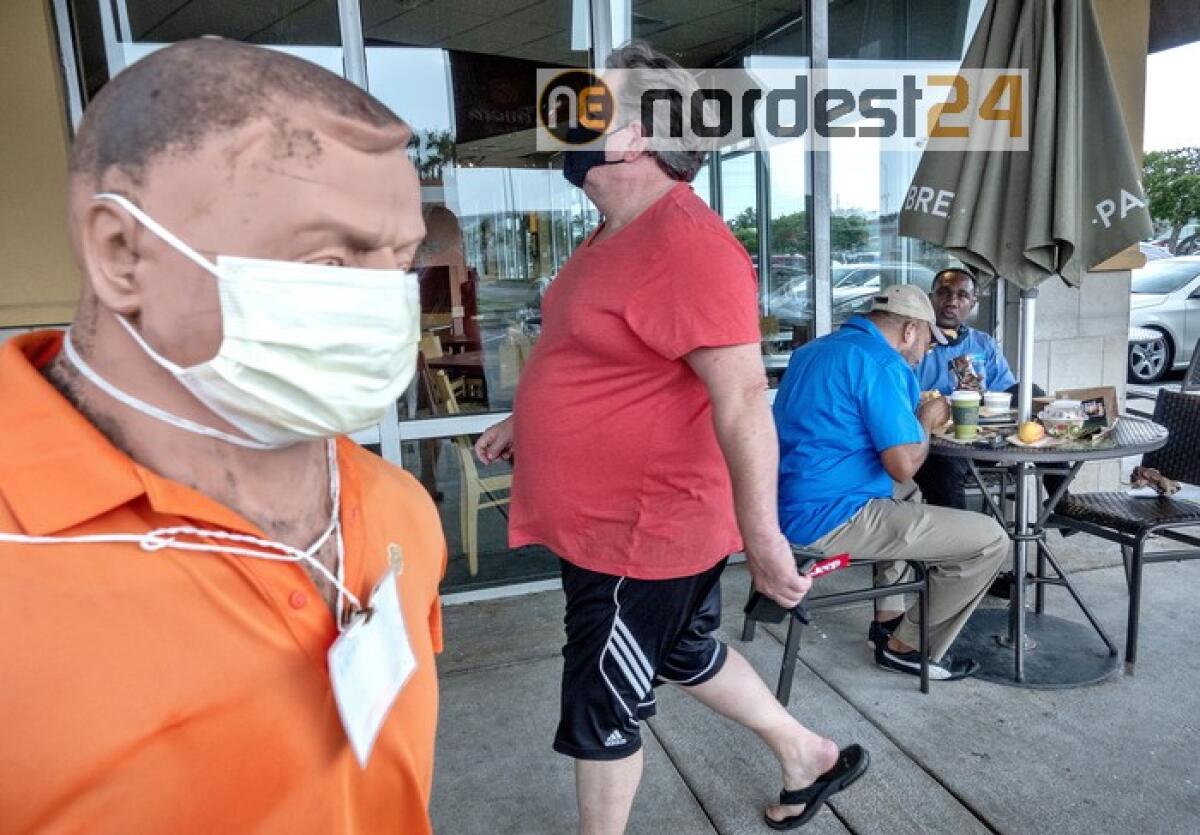 Coronavirus: Florida, record di 188 morti in 24 ore - 