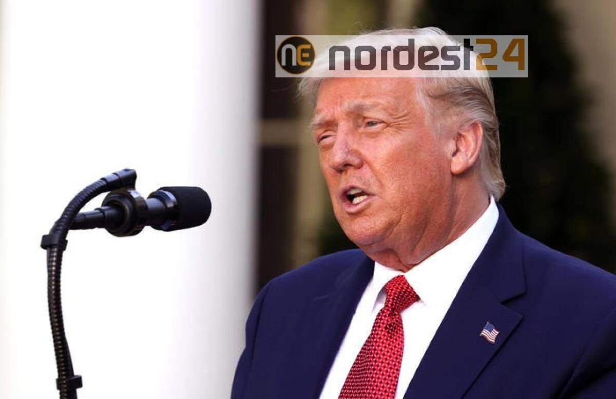 Trump annuncia, invieremo agenti federali a Chicago - 