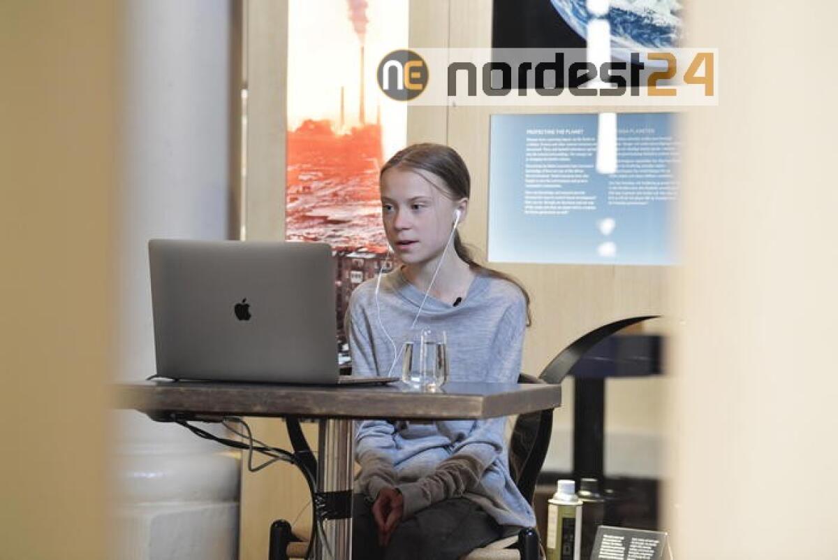 Hong Kong: Greta twitta ai dimostranti, 'sono con voi' - 