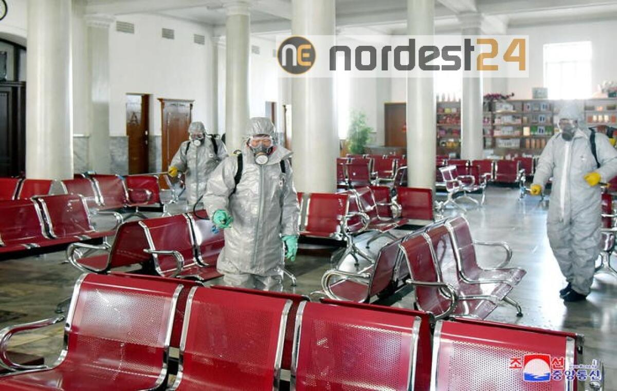 Coronavirus: primo 'caso sospetto' in Corea Nord - 