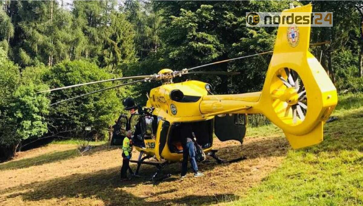 Boscaiolo travolto da un albero: morto Vittorio Dorigo di Ampezzo - 
