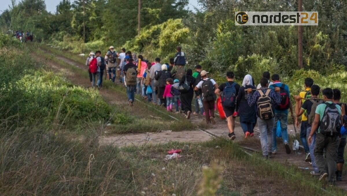Migranti, passagggi sul Collio goriziano: "situazione fuori controllo" - 