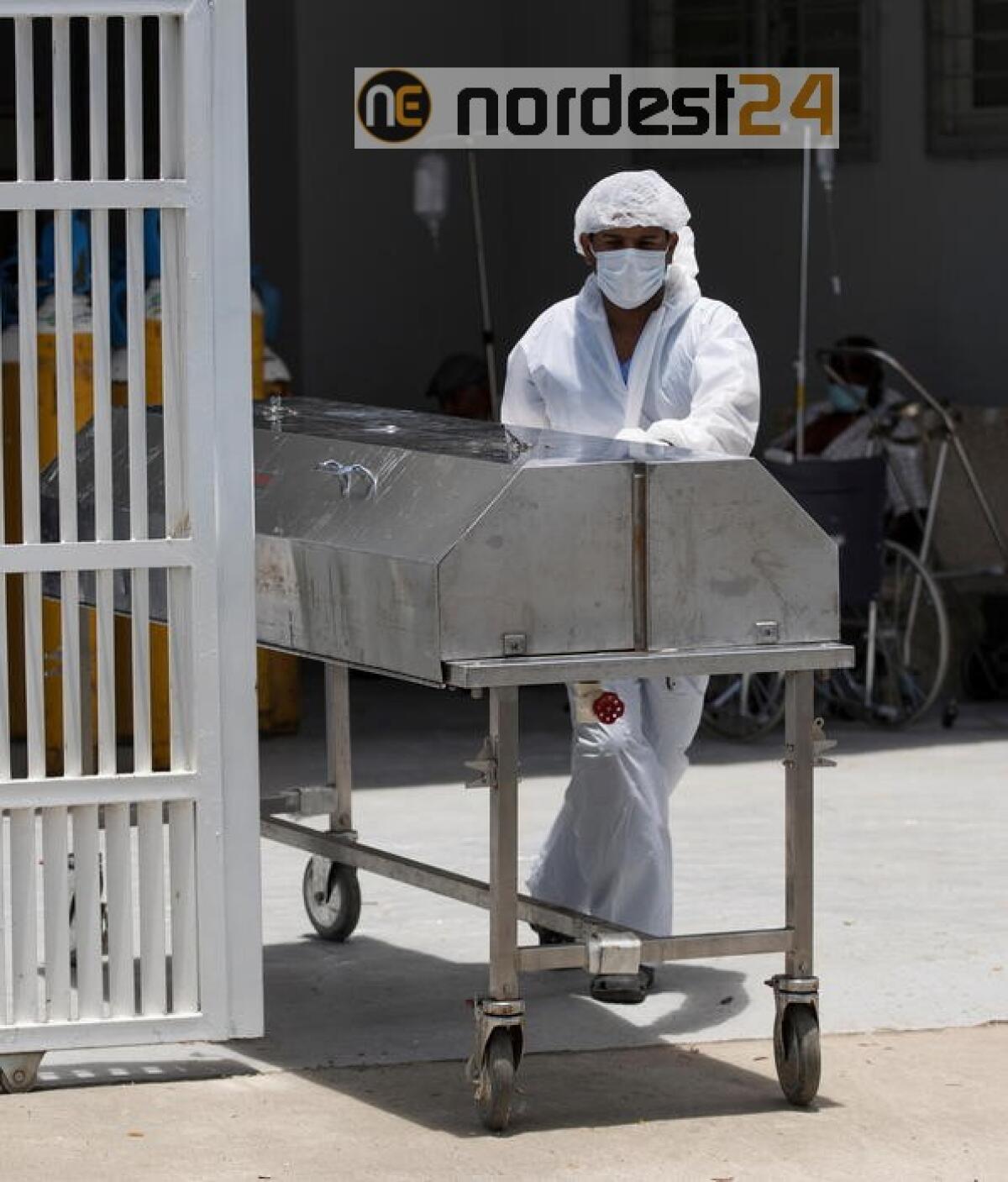 Coronavirus: oltre 16 milioni di casi nel mondo - 