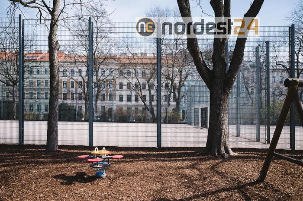 Vienna chiude scuole in alcune zone Alta Austria - 