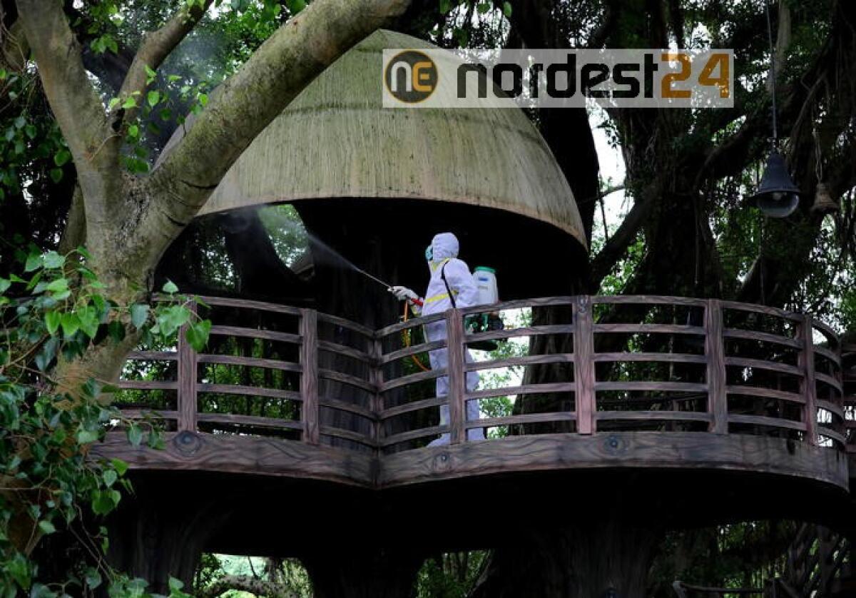 India: superato 1,2 milioni di casi, 45 mila in 24 h - 