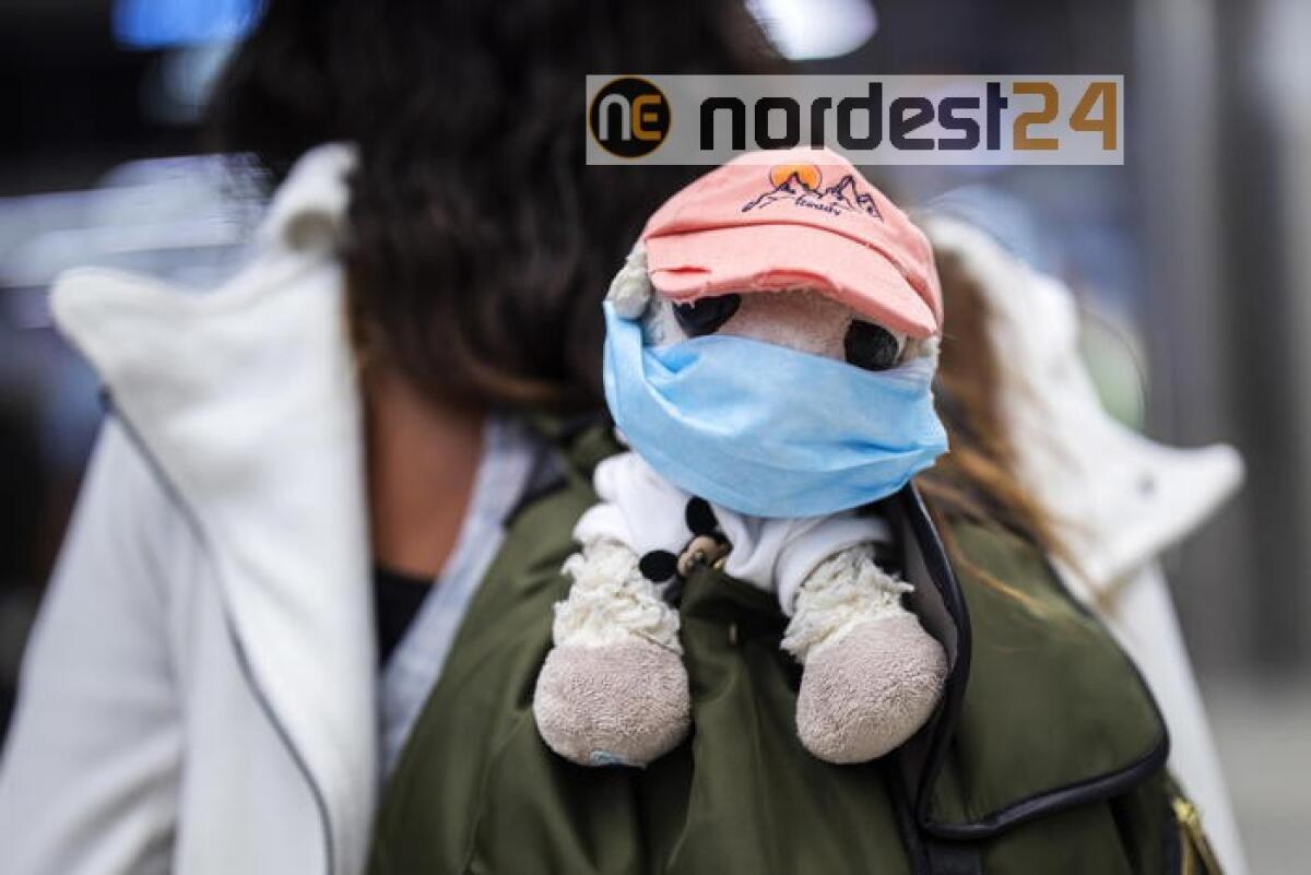 Coronavirus: in Usa 43.000 casi in 24 h - 