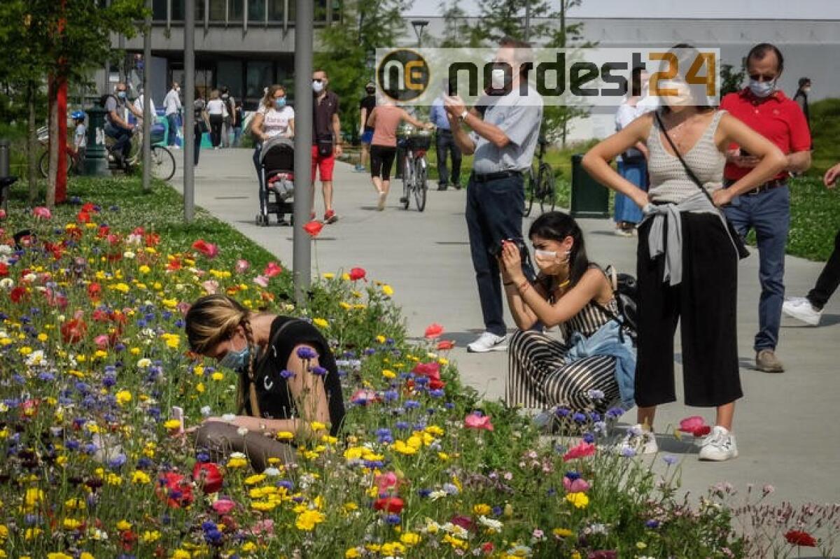 In Lombardia nessun morto per Covid, non accadeva dal 22 febbraio - 