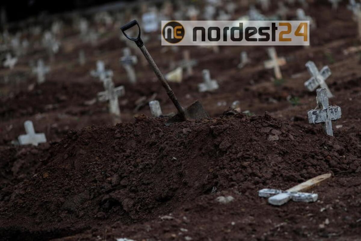 Coronavirus: Brasile, bilancio casi supera 2,4 milioni - 