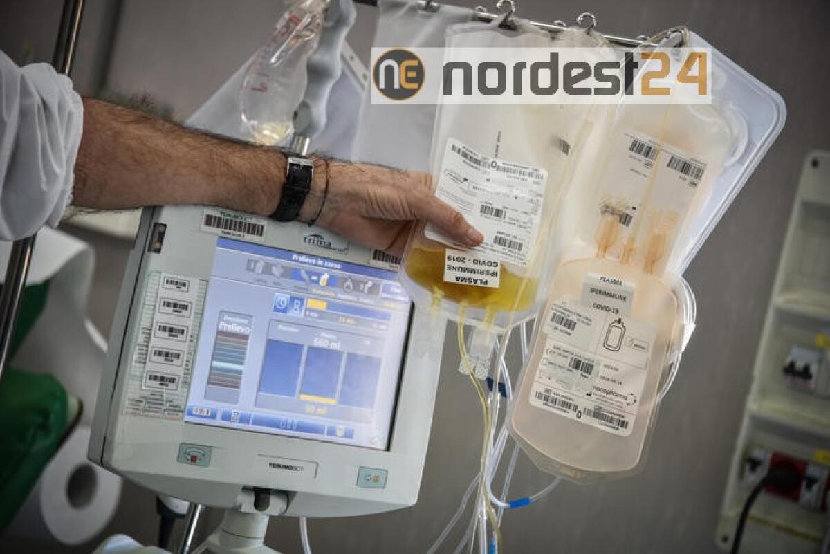 Covid:pm Pavia,uso privato beni pubblici - 