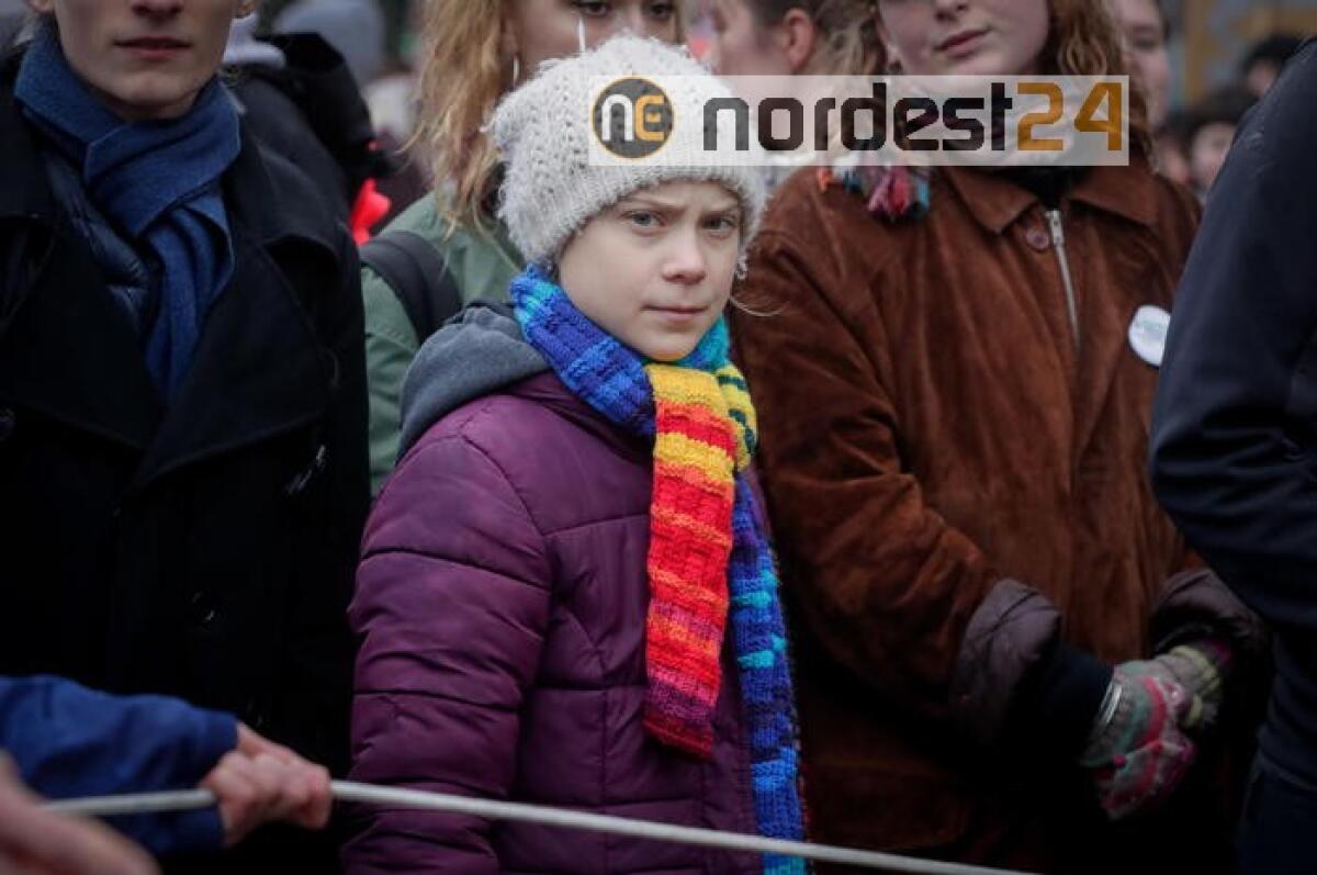 Coronavirus: Greta, 100mila euro contro Covid in Amazzonia - 