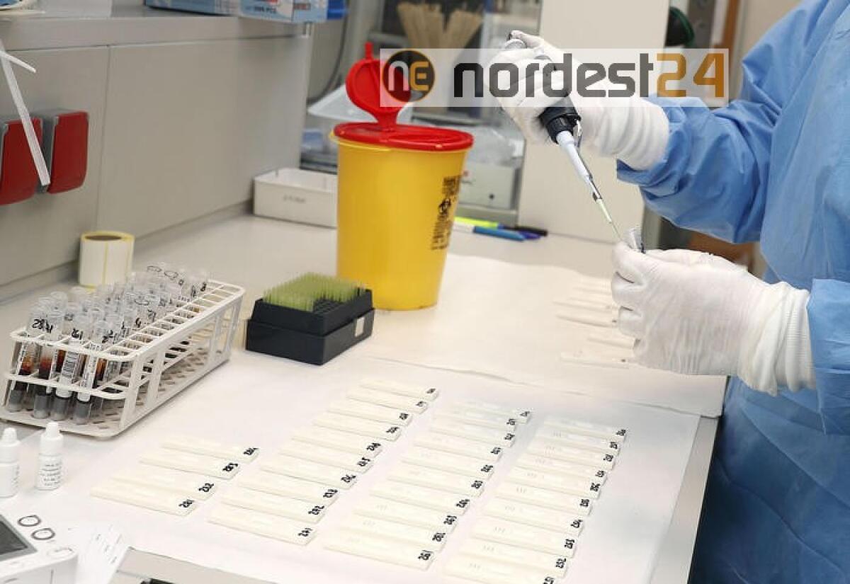 Focolaio in azienda parmense, 33 casi - 