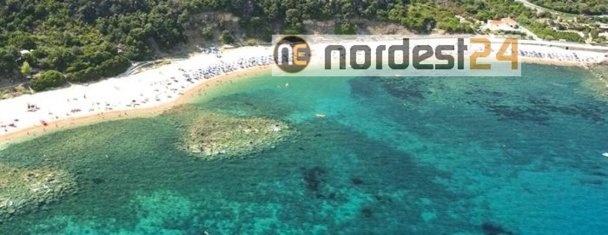 60 cameriere lasciano hotel sardo - 