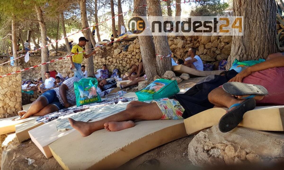 Centinaia di migranti sbarcati in 48 ore - 