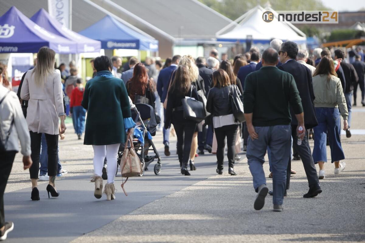 Fiere Fvg, Bini: "idea della Regione è chiara, verso ente unico" - 