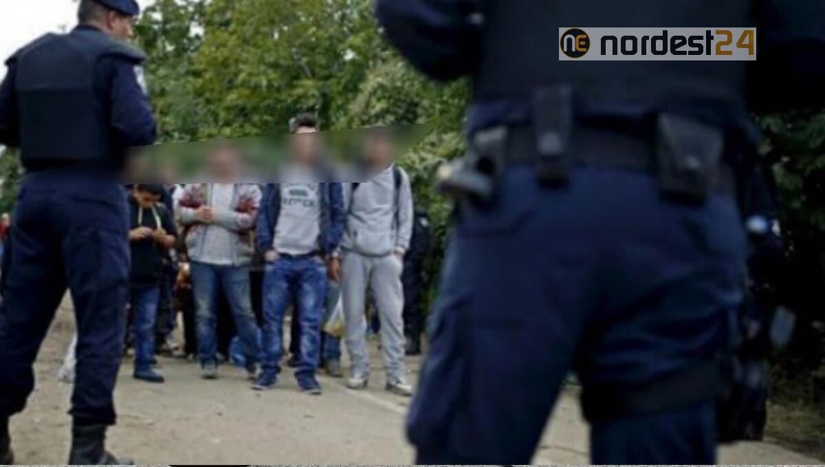 Trieste. Rintracciati 50 migranti a Dolina diretti verso il centro - 