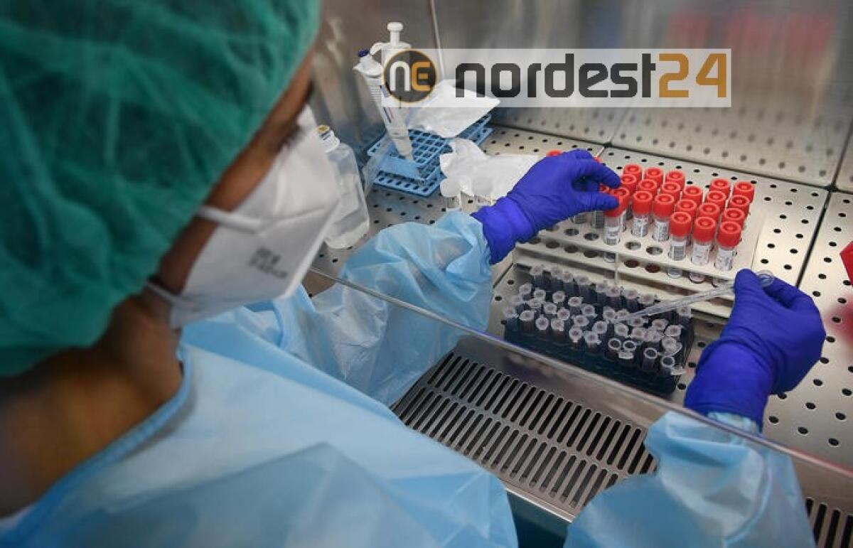 In Lombardia 67 positivi e 4 morti - 