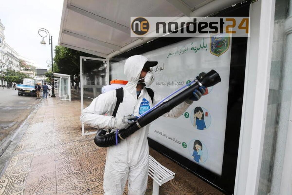 Coronavirus: Algeria, oltre 600 contagi in ultime 24 ore - 