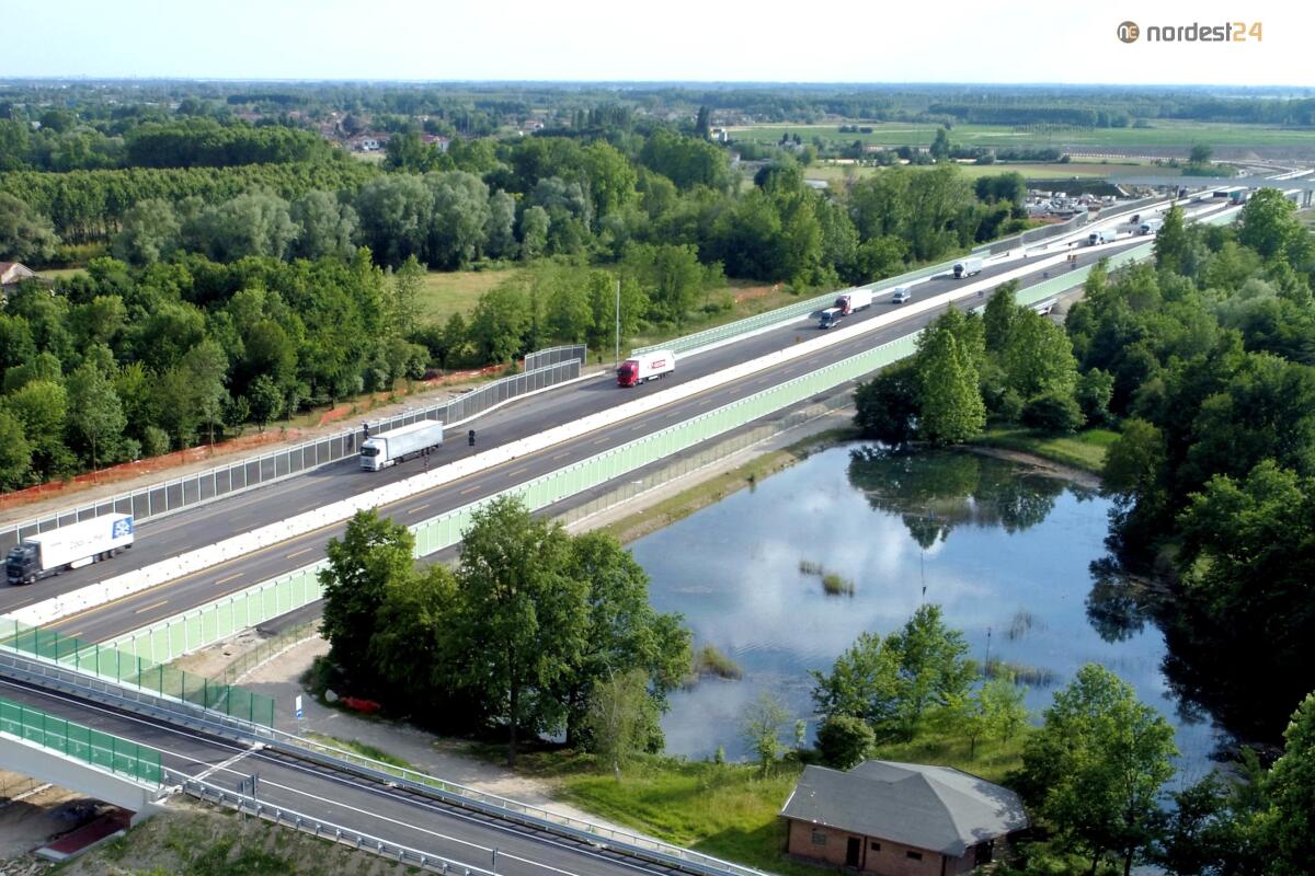 Piante e speciali pompe idrauliche depurano le acque dell’autostrada - 