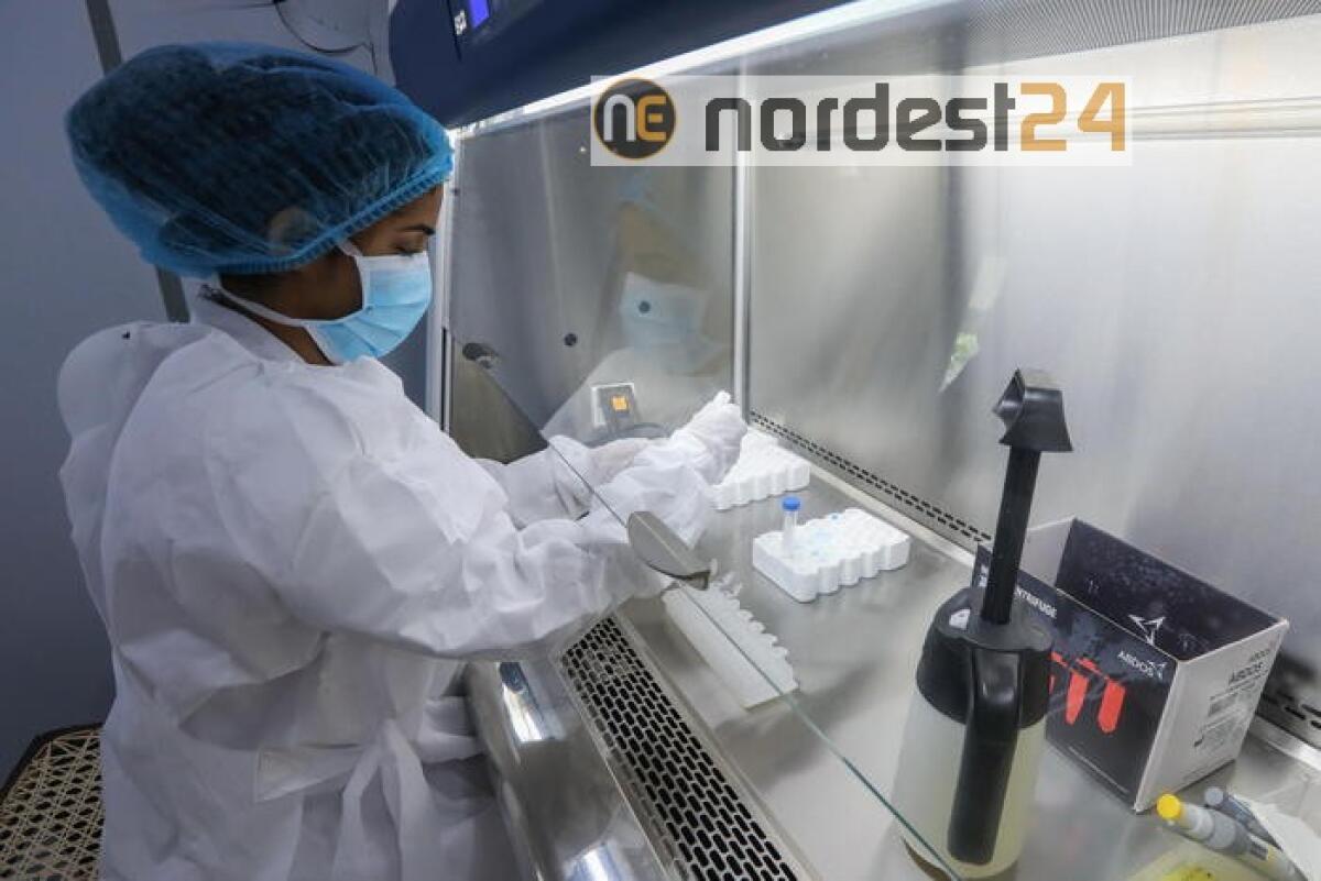 Salgono contagi, stabile numero vittime - 