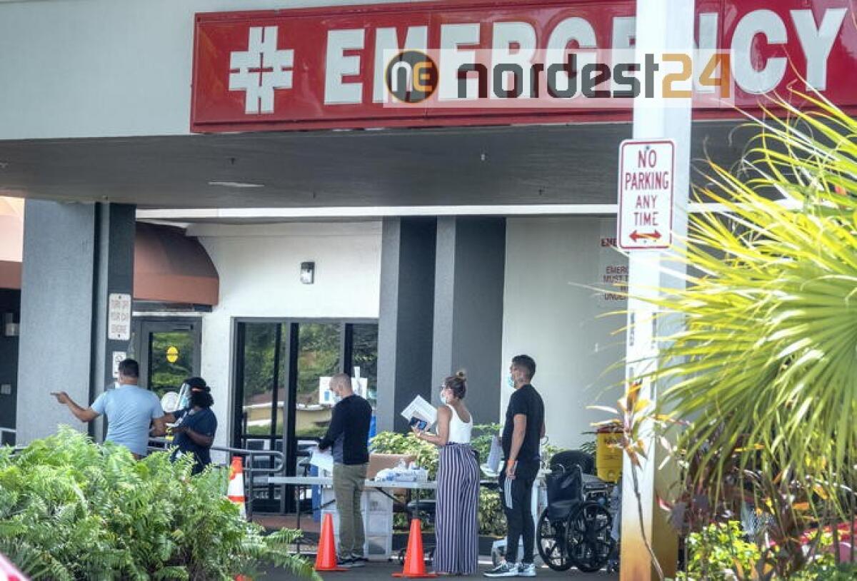 Coronavirus: Usa, oltre 137.000 morti - 