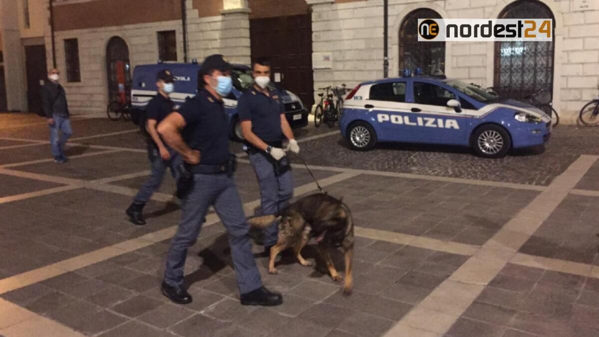 Controlli antidroga a Pordenone: coinvolti ragazzi tra i 16 e 20 anni - 