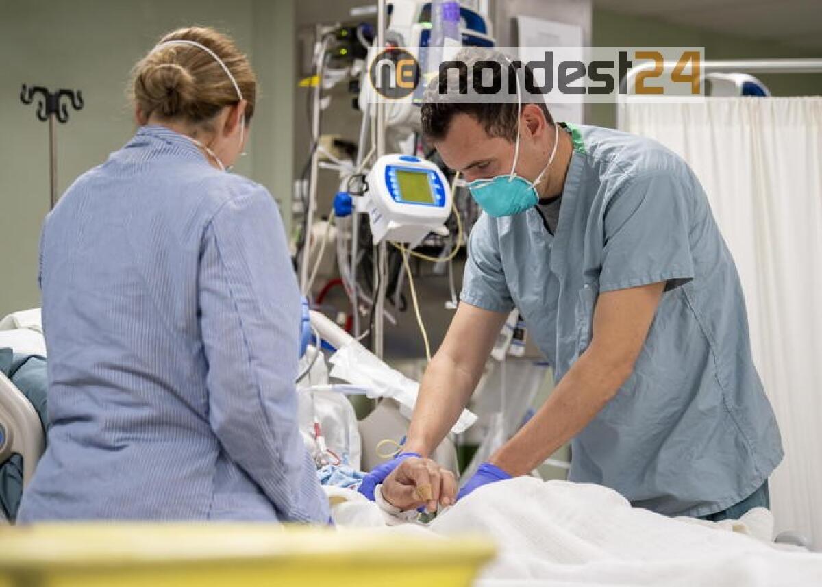 Usa, 60 mila contagi in 24 ore - 