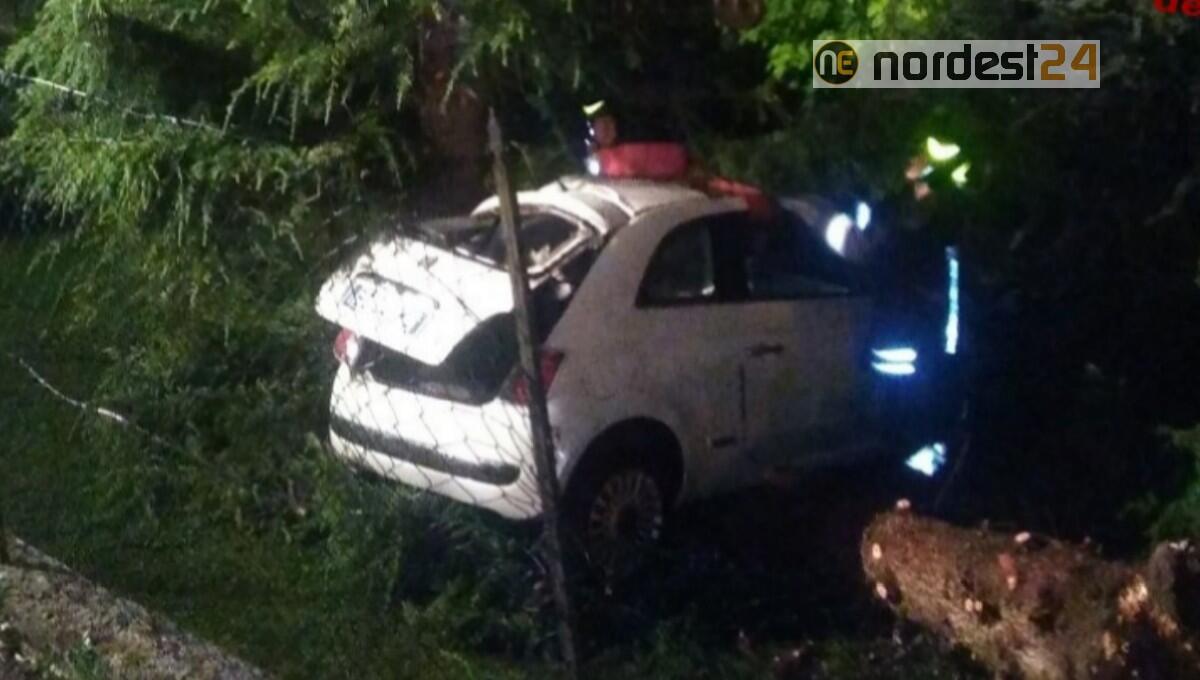 Perde il controllo dall'auto, abbatte un albero e una recinzione: ferito - 