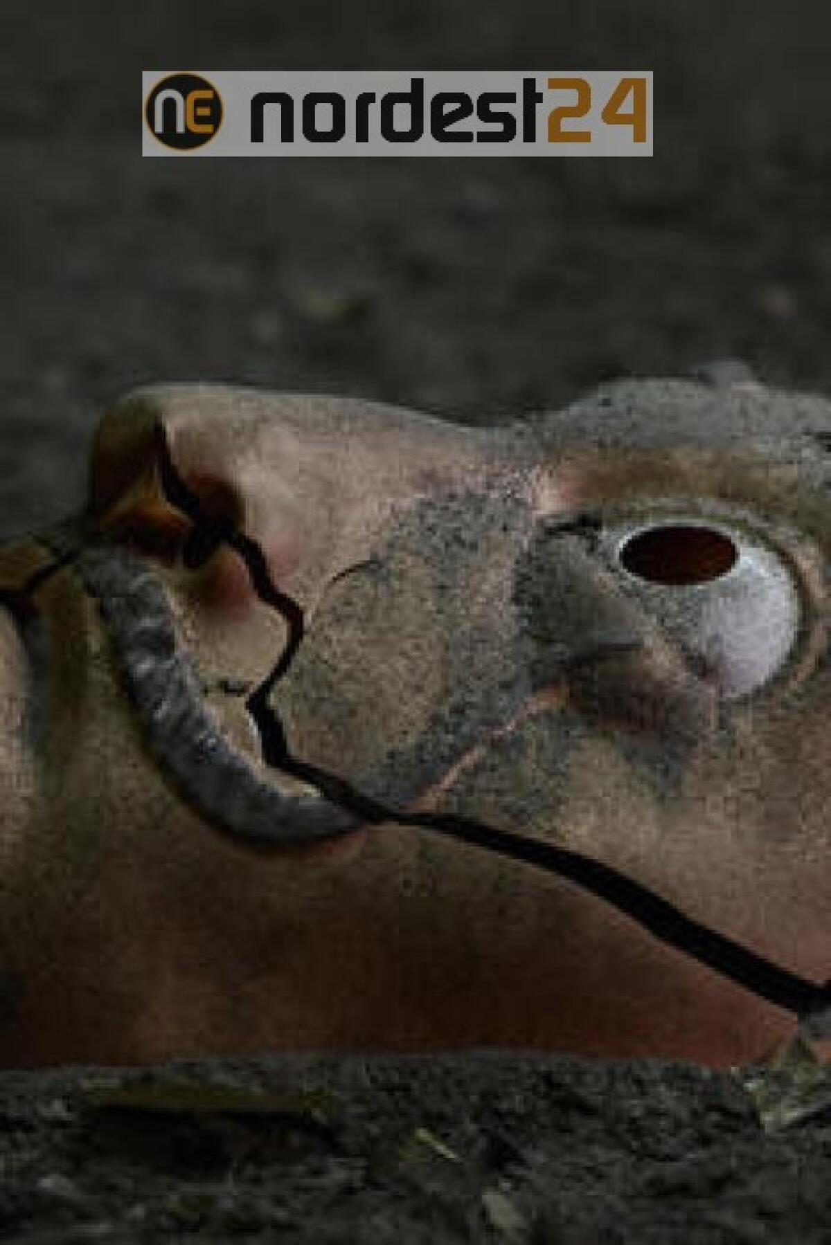 La Casa Di Carta 5, atto finale, ciak da 3 agosto - 