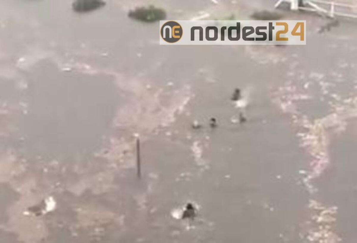 Bomba d'acqua, gente a nuoto in strada - 