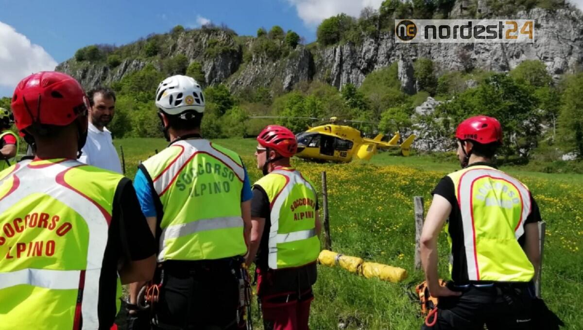 Malore mentre cerca i funghi: deceduto 78enne di Tavagnacco - 
