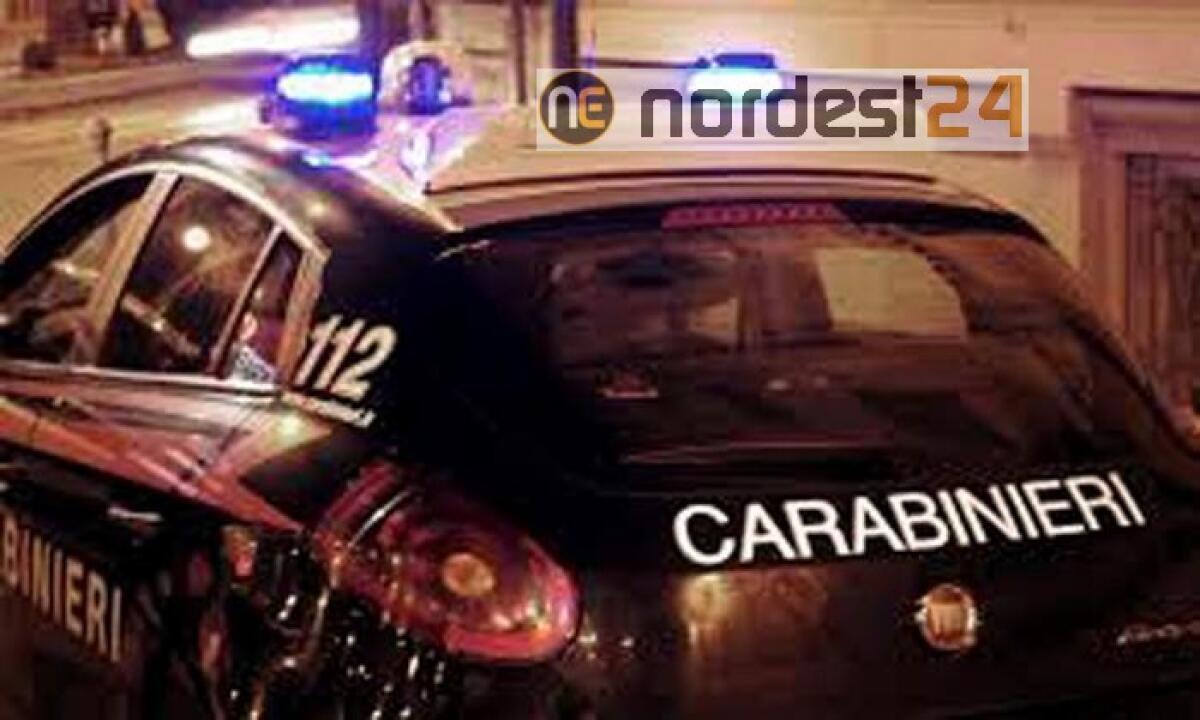 Uccide i genitori, fermato nel Torinese - 