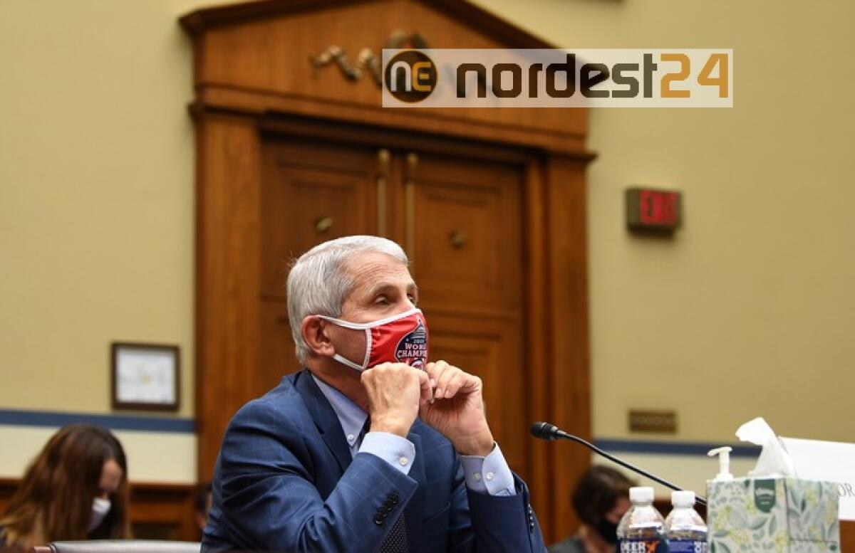 Fauci, 'lockdown in Europa su 95% attività, in America 50%' - 